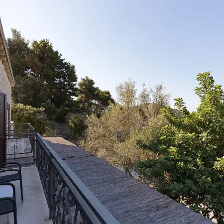 Basica Vendégház Saplunara